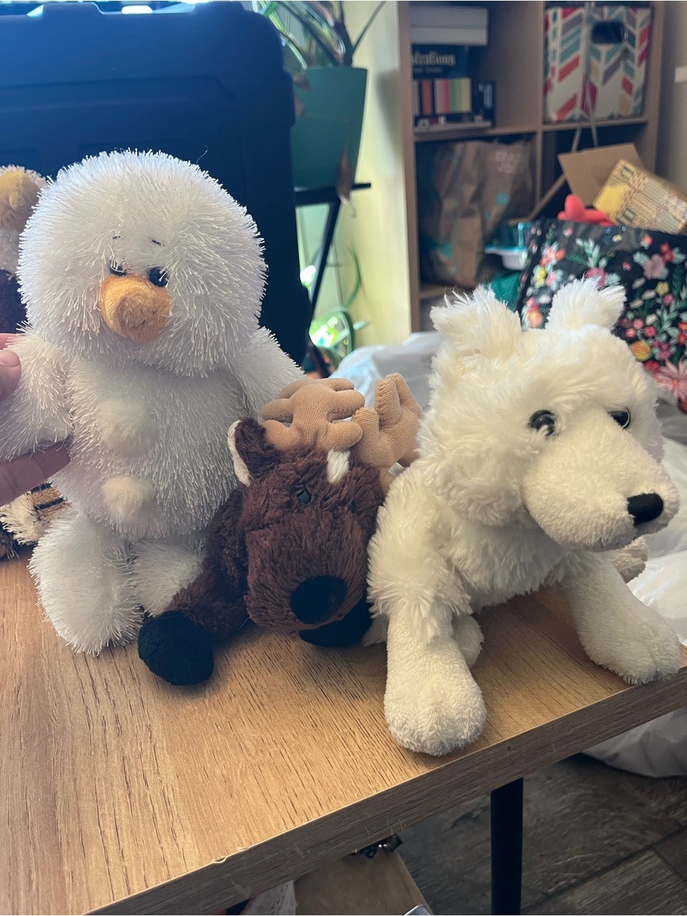 Webkinz winter lot of 3 no codes